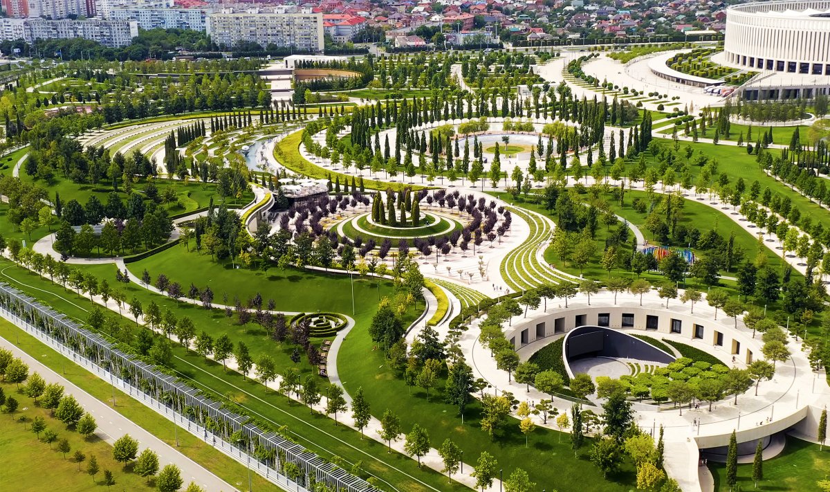 Рисовые поля в Краснодаре