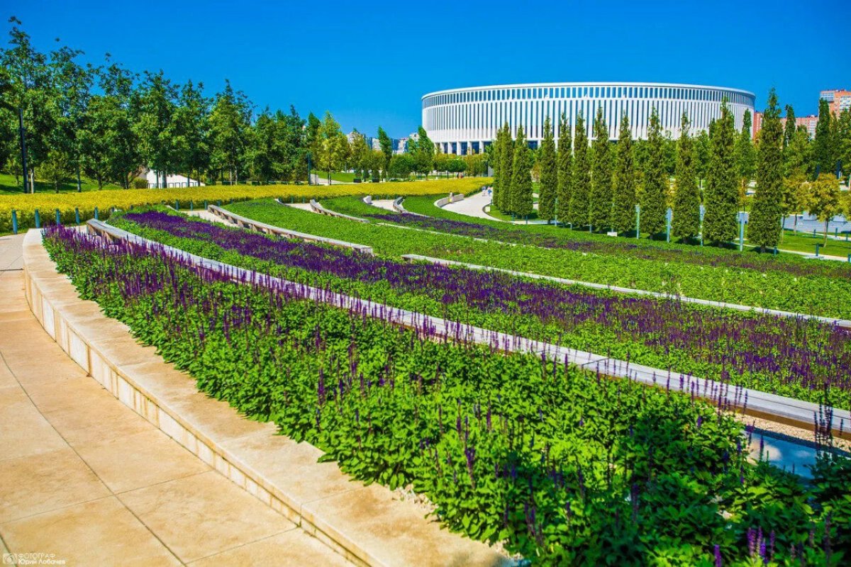Парк Галицкого в Краснодаре на закате