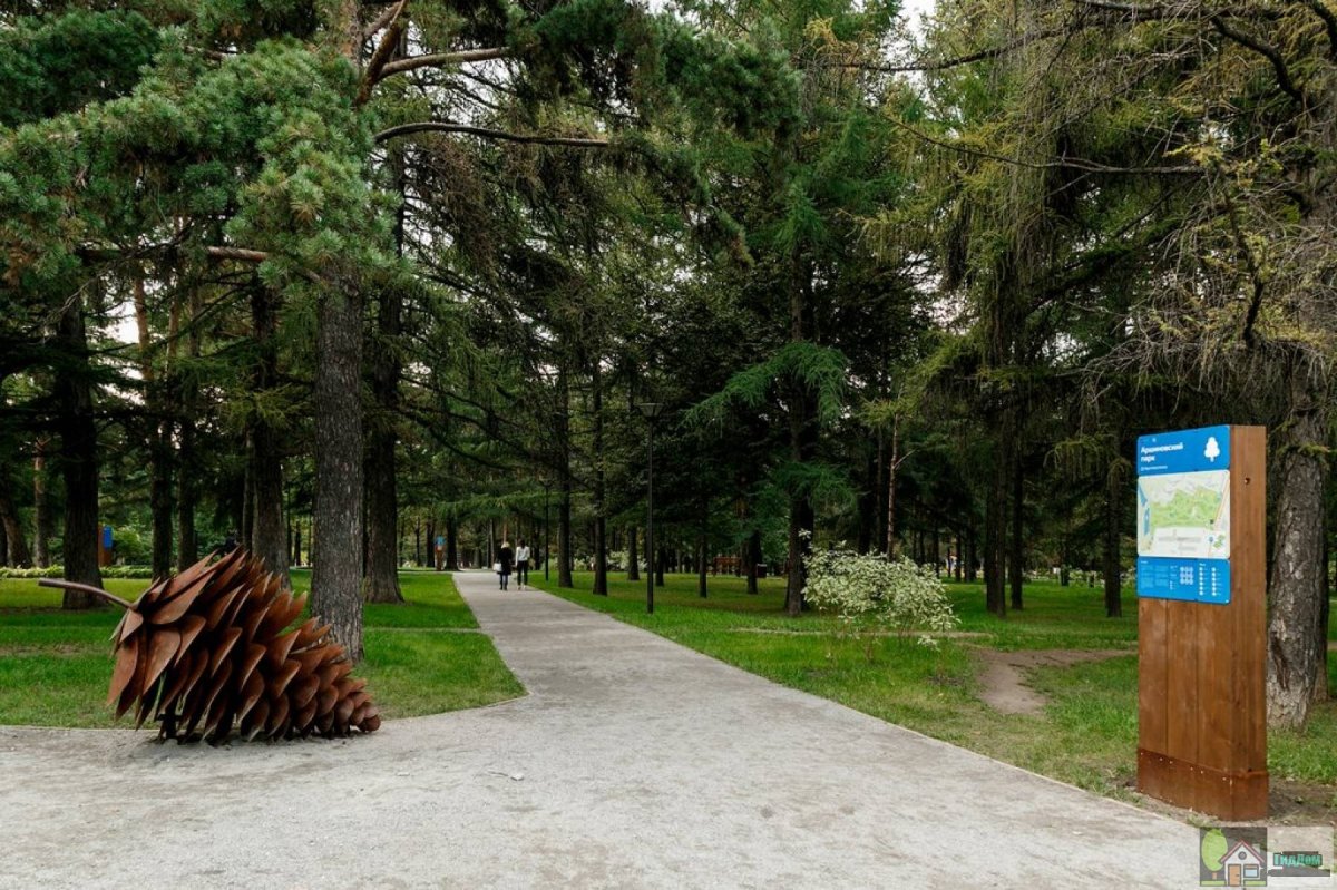 деревья в парке царицыно