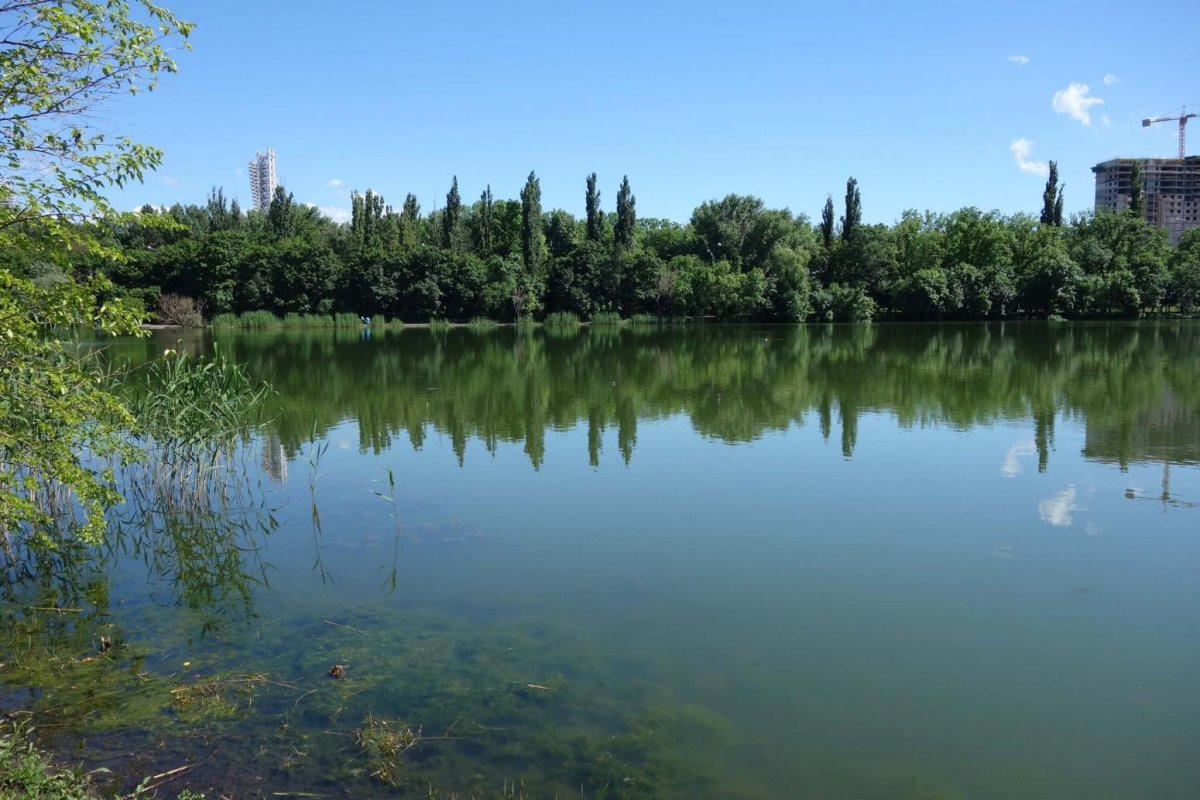 Краснодарское водохранилище фото сверху