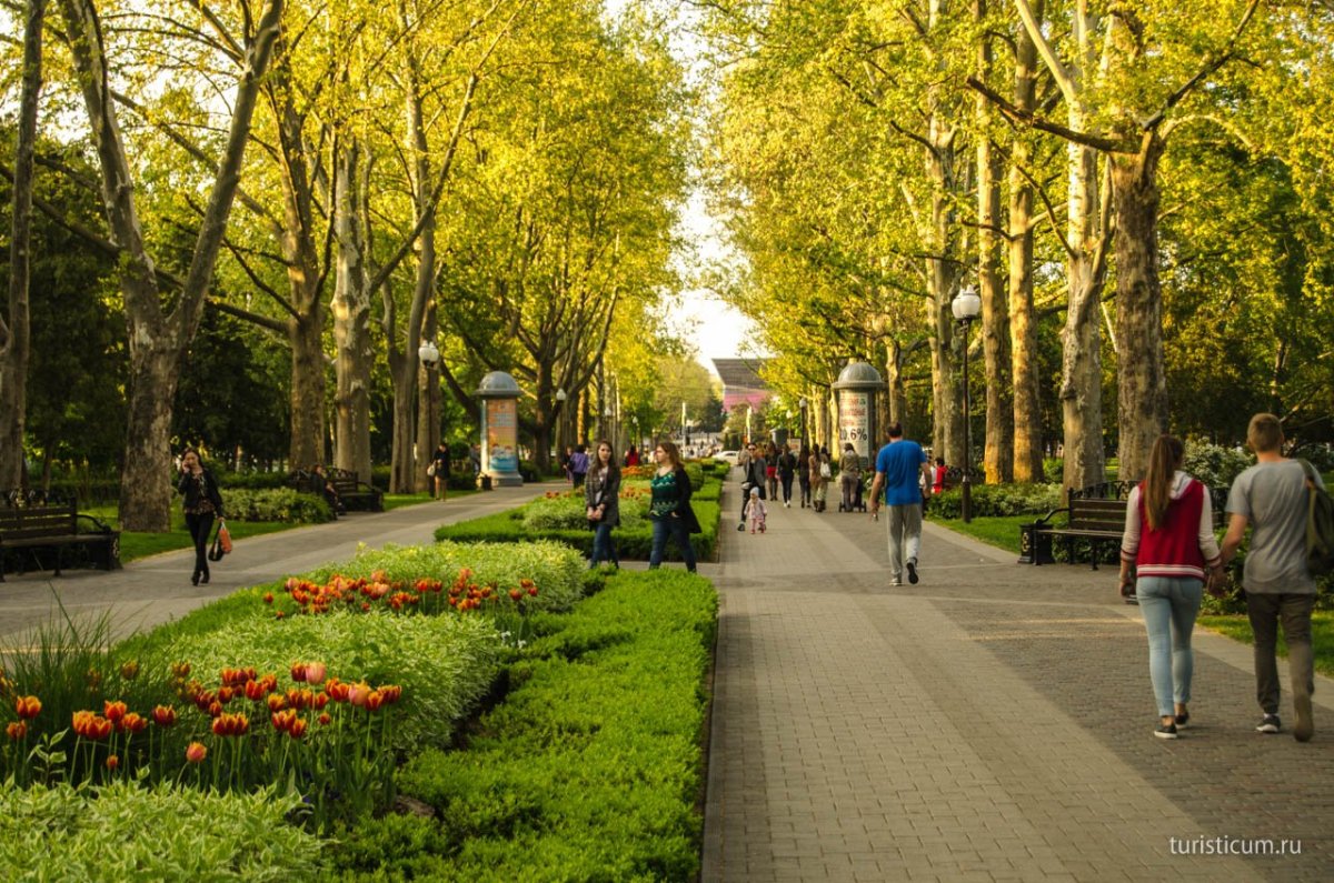 Краснодар улица красная
