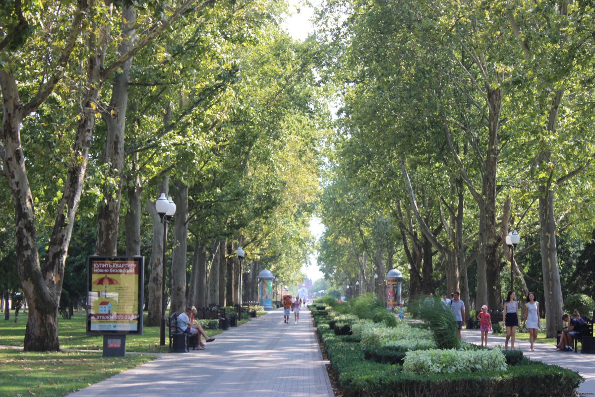 Площадь Восстания Санкт-Петербург