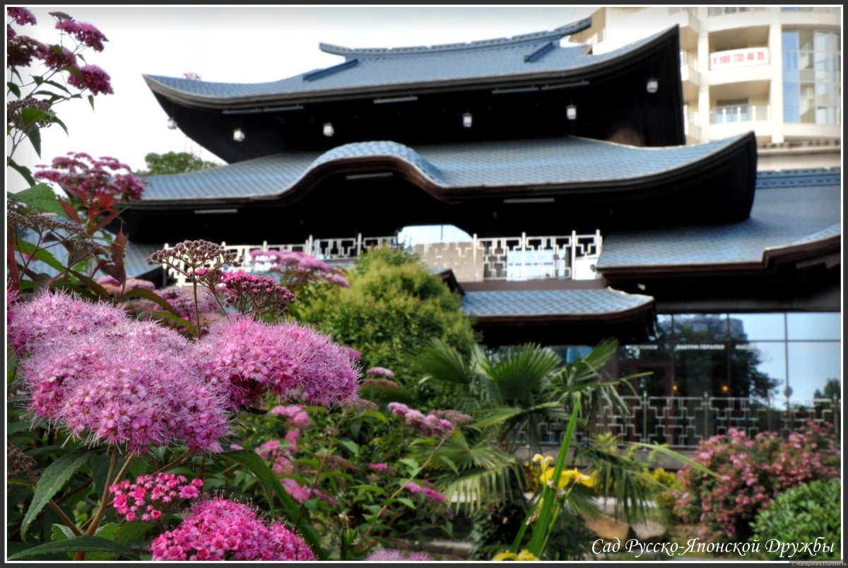 Японский сад сочи дендрарий