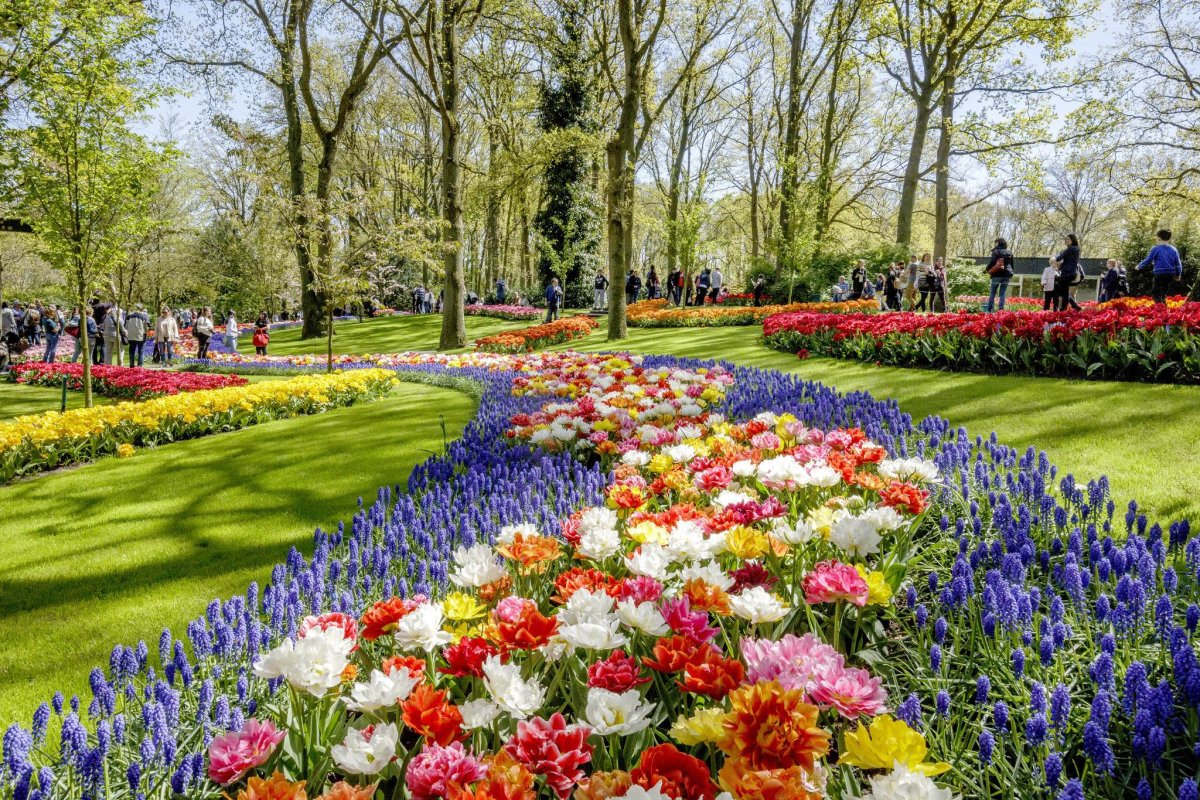 Ботанический сад амстердам