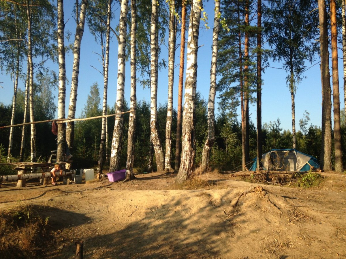 Палаточный кемпинг в ленинградской области