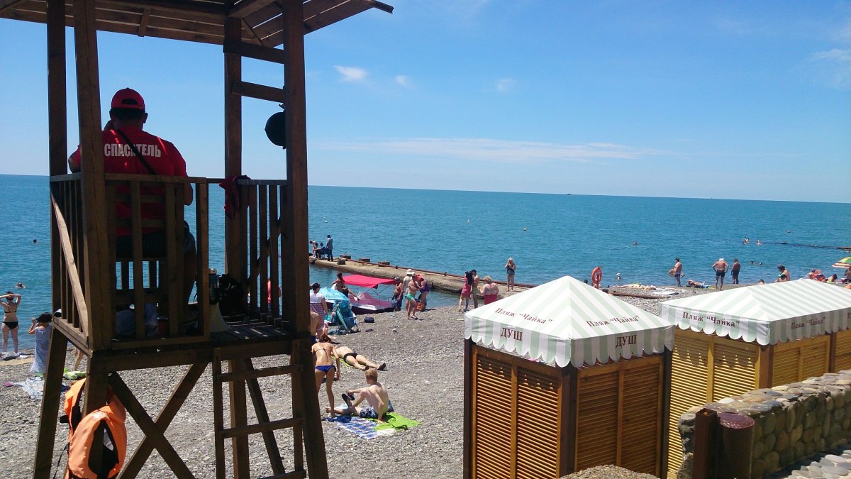 Чкаловский пляж Адлер Барракуда