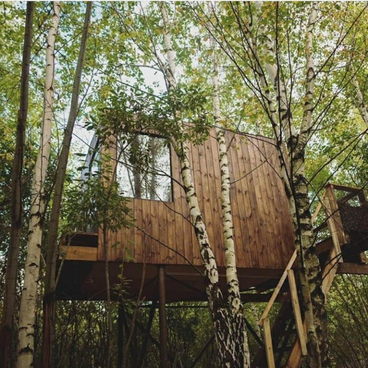 Кемпинг переславль залесский. Кемпинг дом на дереве Переславль Залесский. Treehouse Camping Переславль Залесский. Домик на дереве Переславль Залесский. Кемпинг на дереве Переславль Залесский.