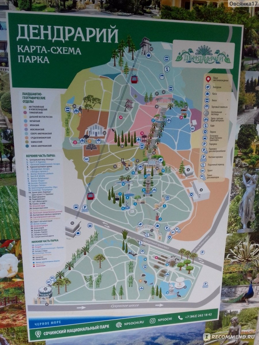 Сочи Дендрарий сверху