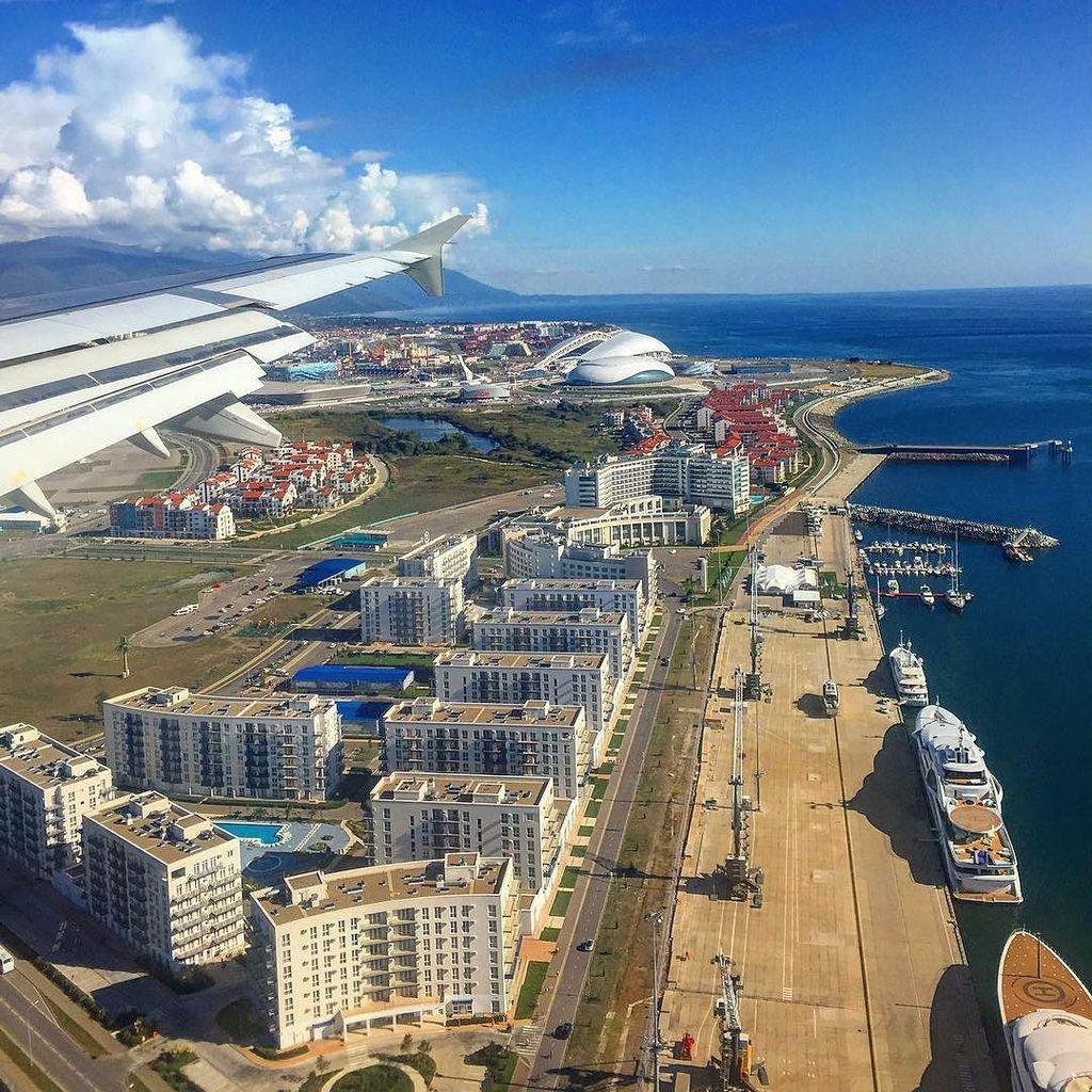 Сочи парк зима