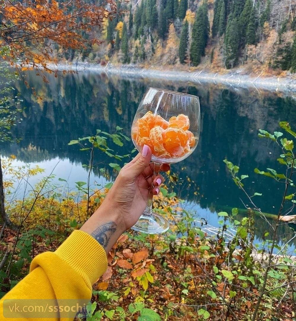 Красивые девушки на отдыхе