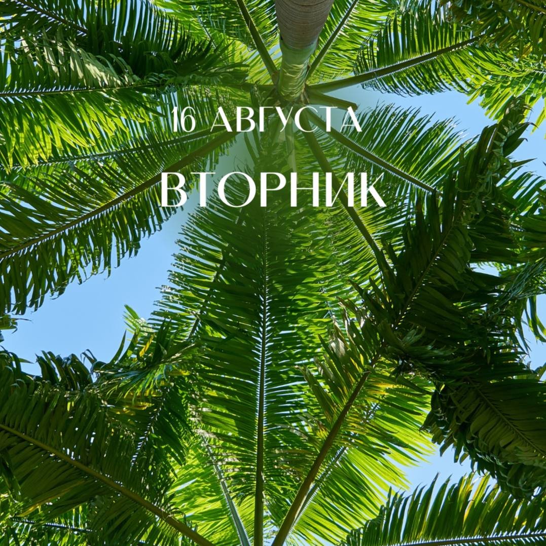 Доброе утро Сочи картинки Веселые