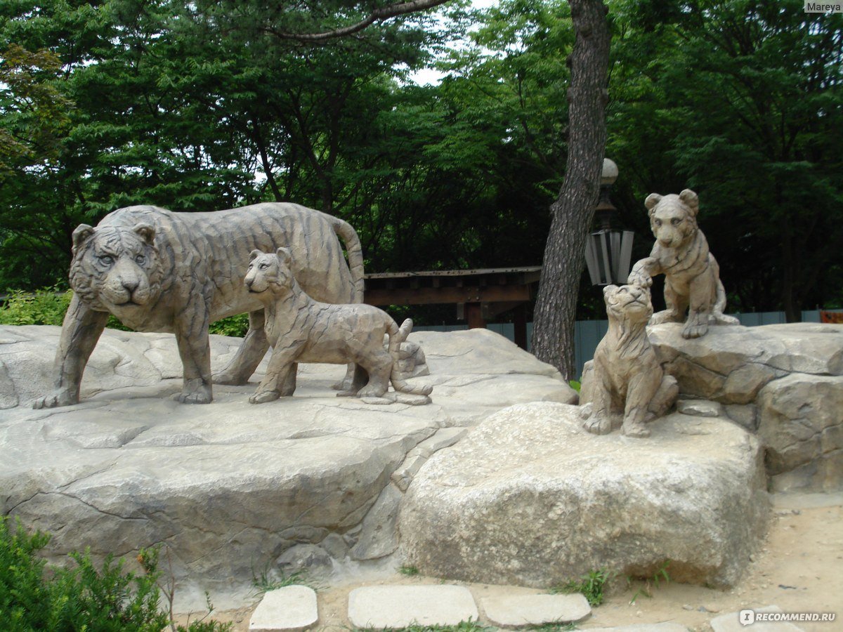 Корея сеул зоопарк