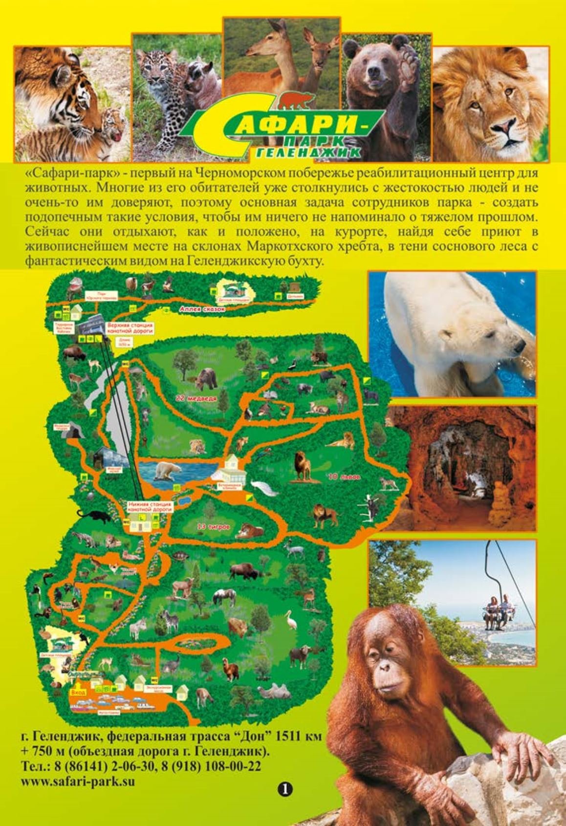 Сафари парк Геленджик карта парка