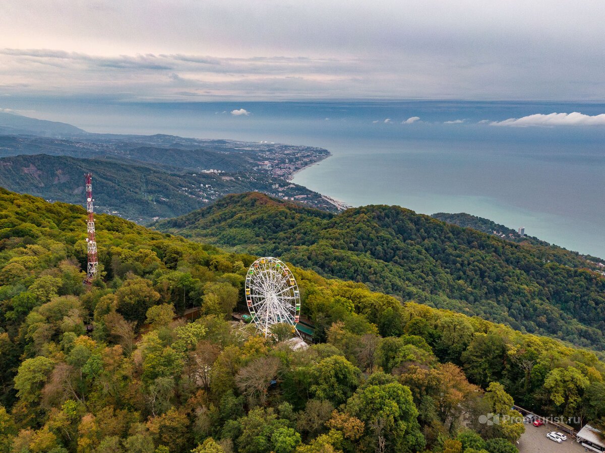 Сафари парк сочи адлер