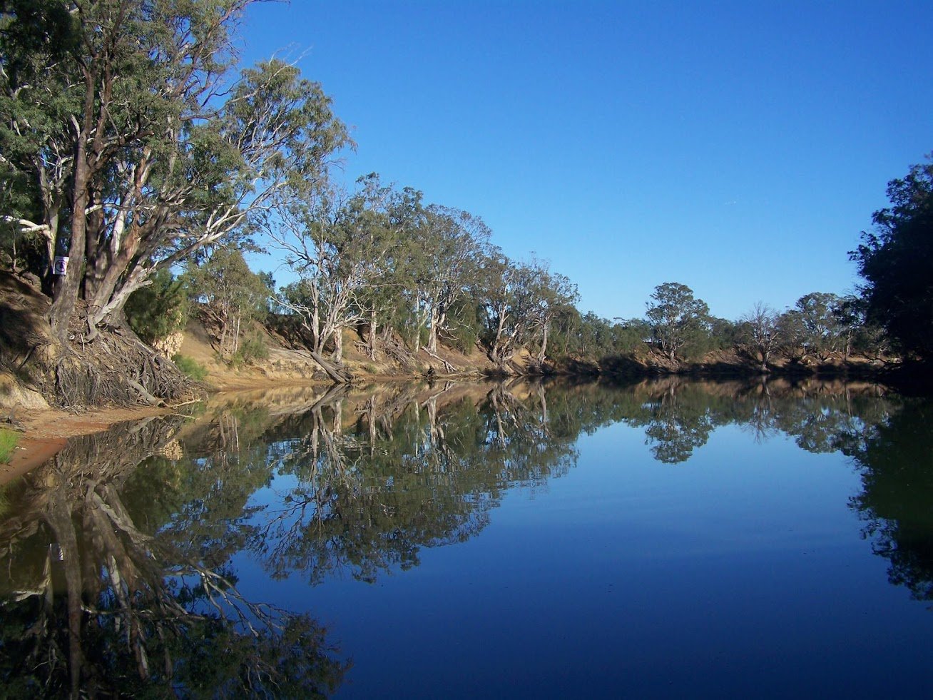 Реки озера австралии 7. Река Муррей в Австралии. Река Муррей,река Дарлинг. Муррей и Дарлинг. Река Дарлинг в Австралии.