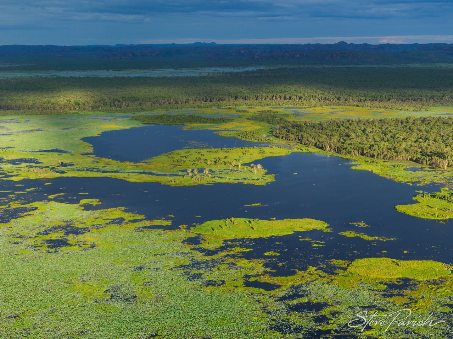 Крупнейшее болото европы. Болота Австралии. Парк Какаду в Австралии. Болота Вулвонга,. Торфяники Австралия.