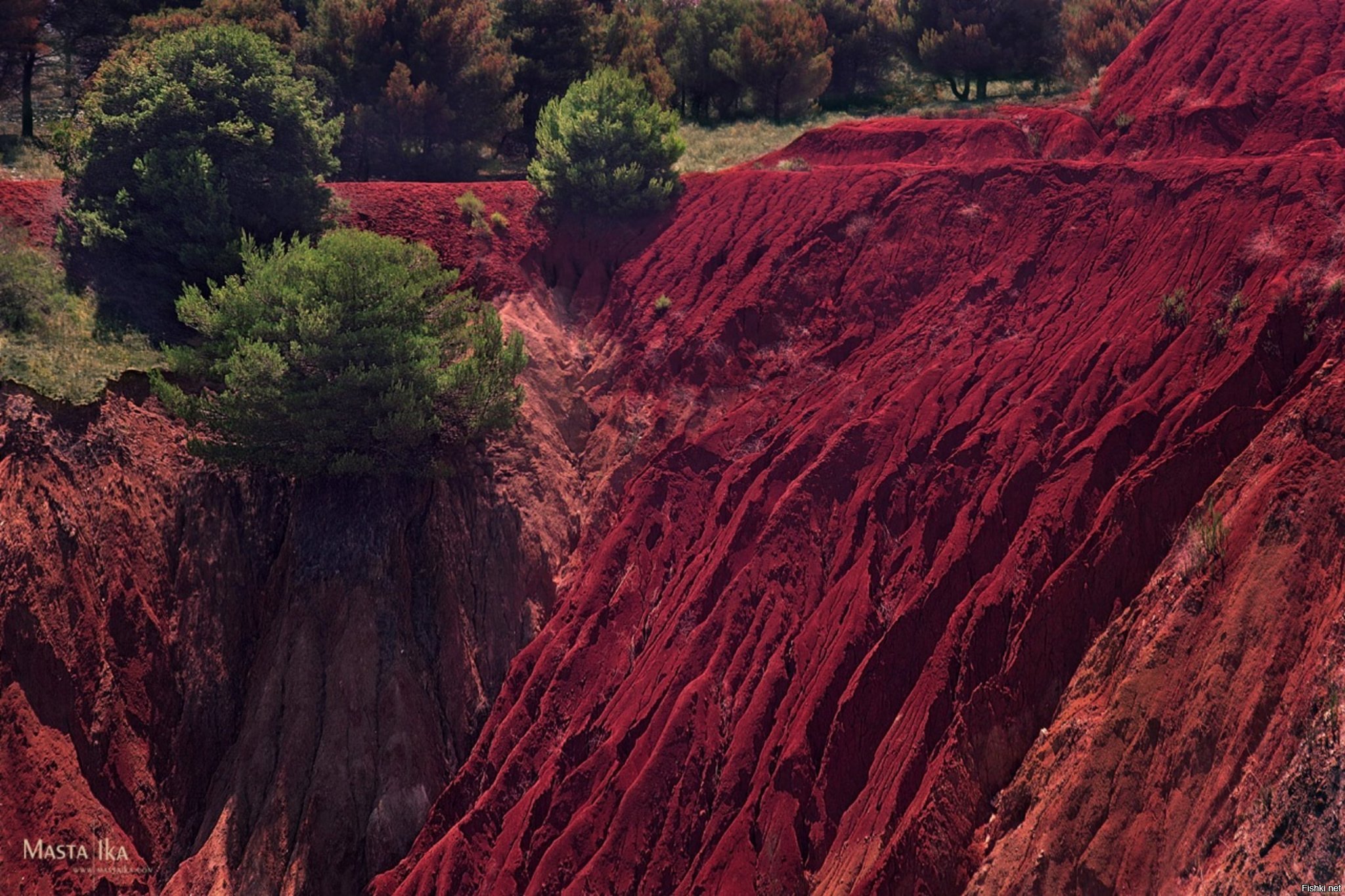 Почва субтропической зоны. Красноземы в России субтропики. Красные ферраллитные почвы Бразилии. Ферраллитные коры выветривания. Красные ферралитные почвы Южной Америки.