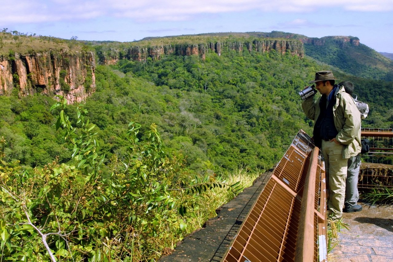 Природный потенциал бразилии. Национальный парк жау в Бразилии. Национальные парки жау в Бразилии. Природные ресурсы Бразилии. Туристские ресурсы Бразилии.