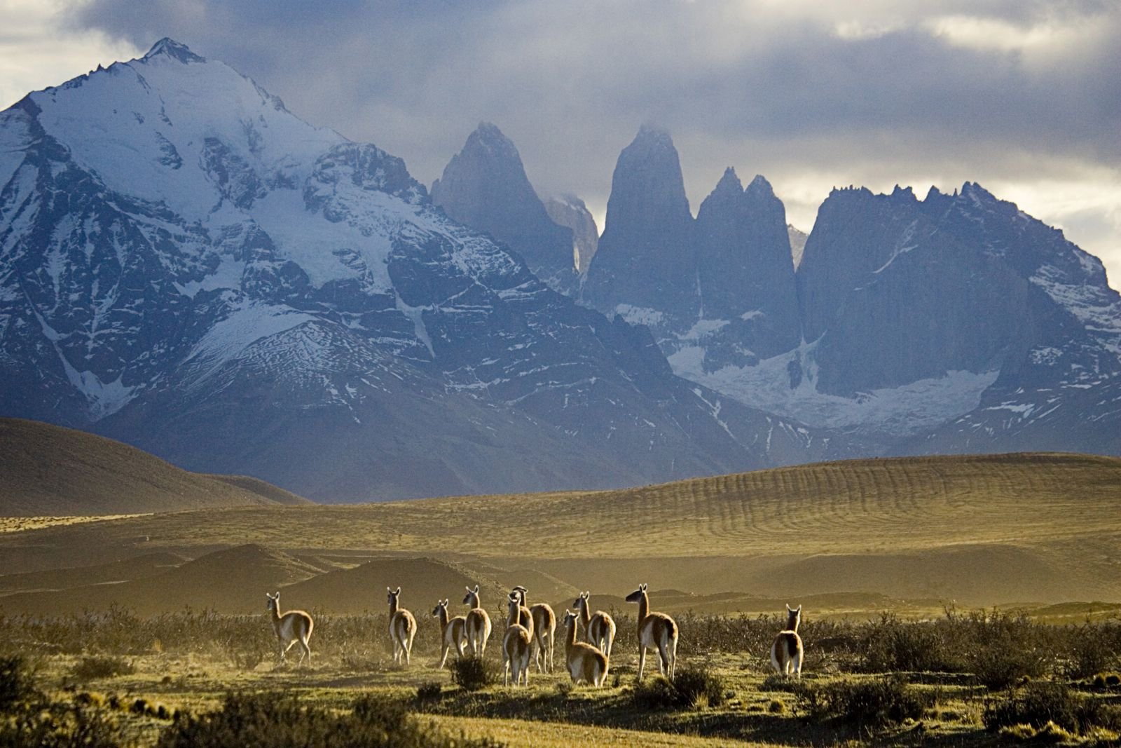 Природные зоны огненной земли. Торрес дель Пайне Патагония. Северная Патагония Аргентина. Чили горы Патагония. Торрес дель Пайне.Южная Америка.