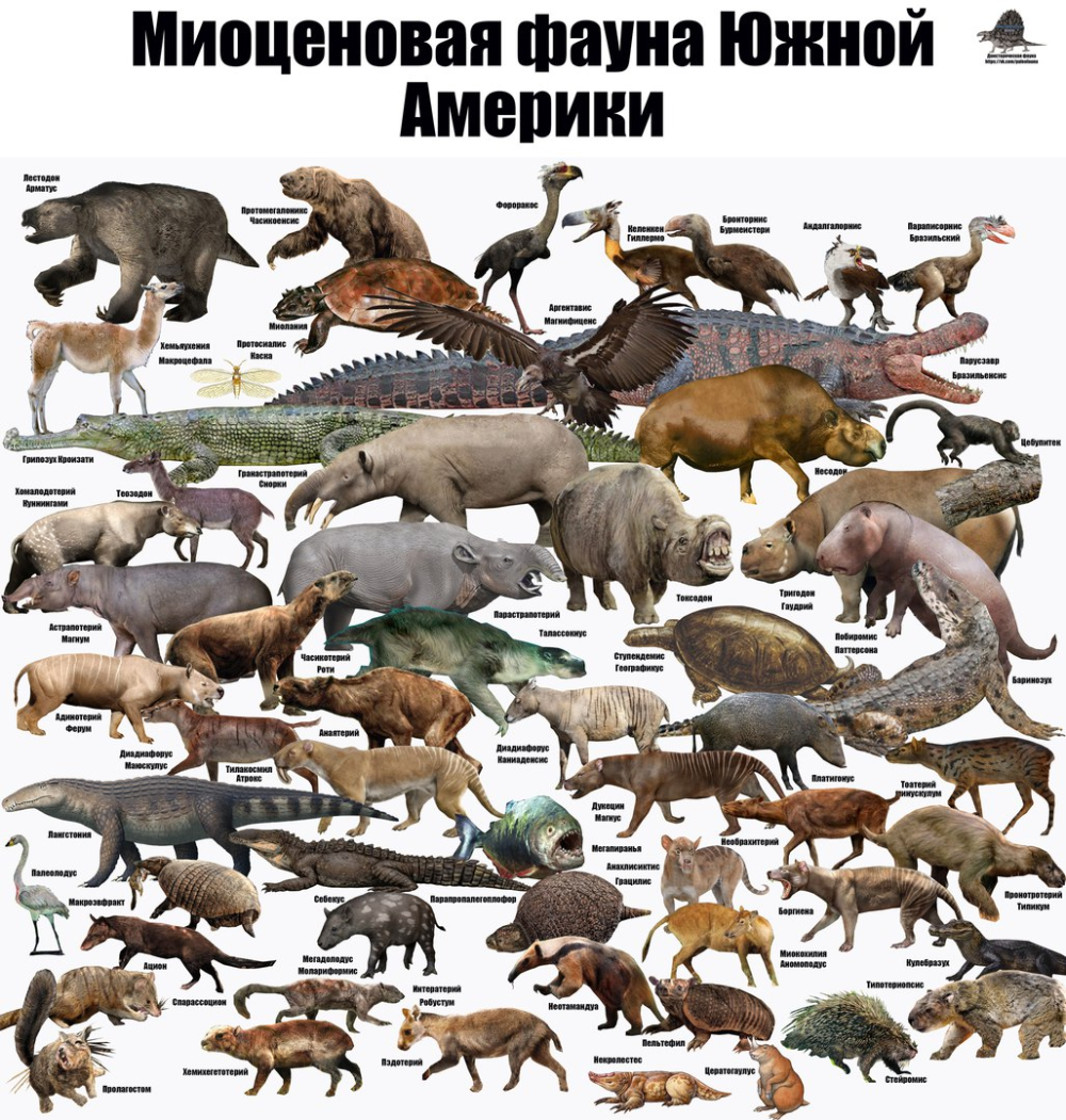 Фауна плейстоцена Южной Америки