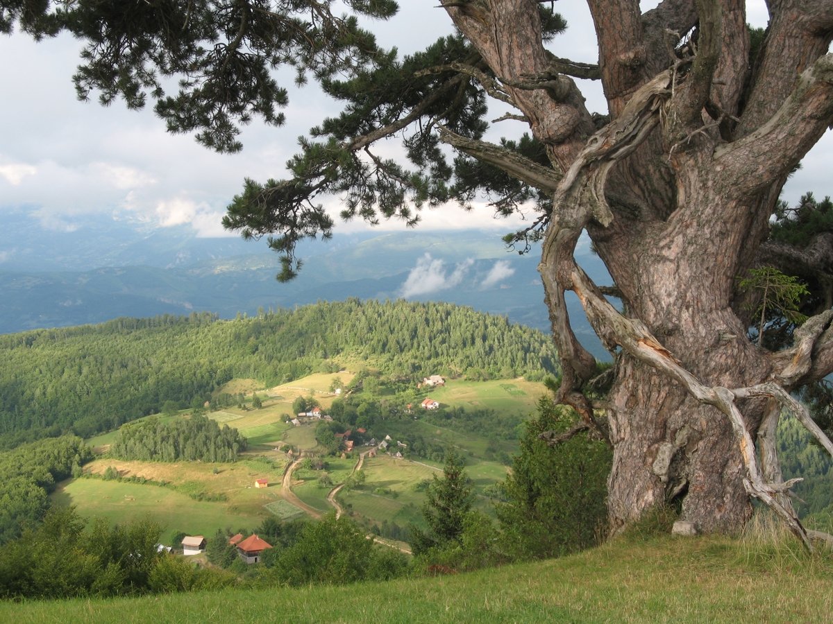 Камена гора Сербия