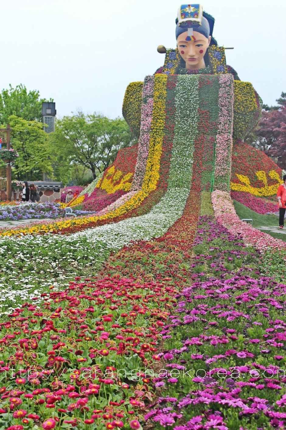 Фестиваль цветов в корее