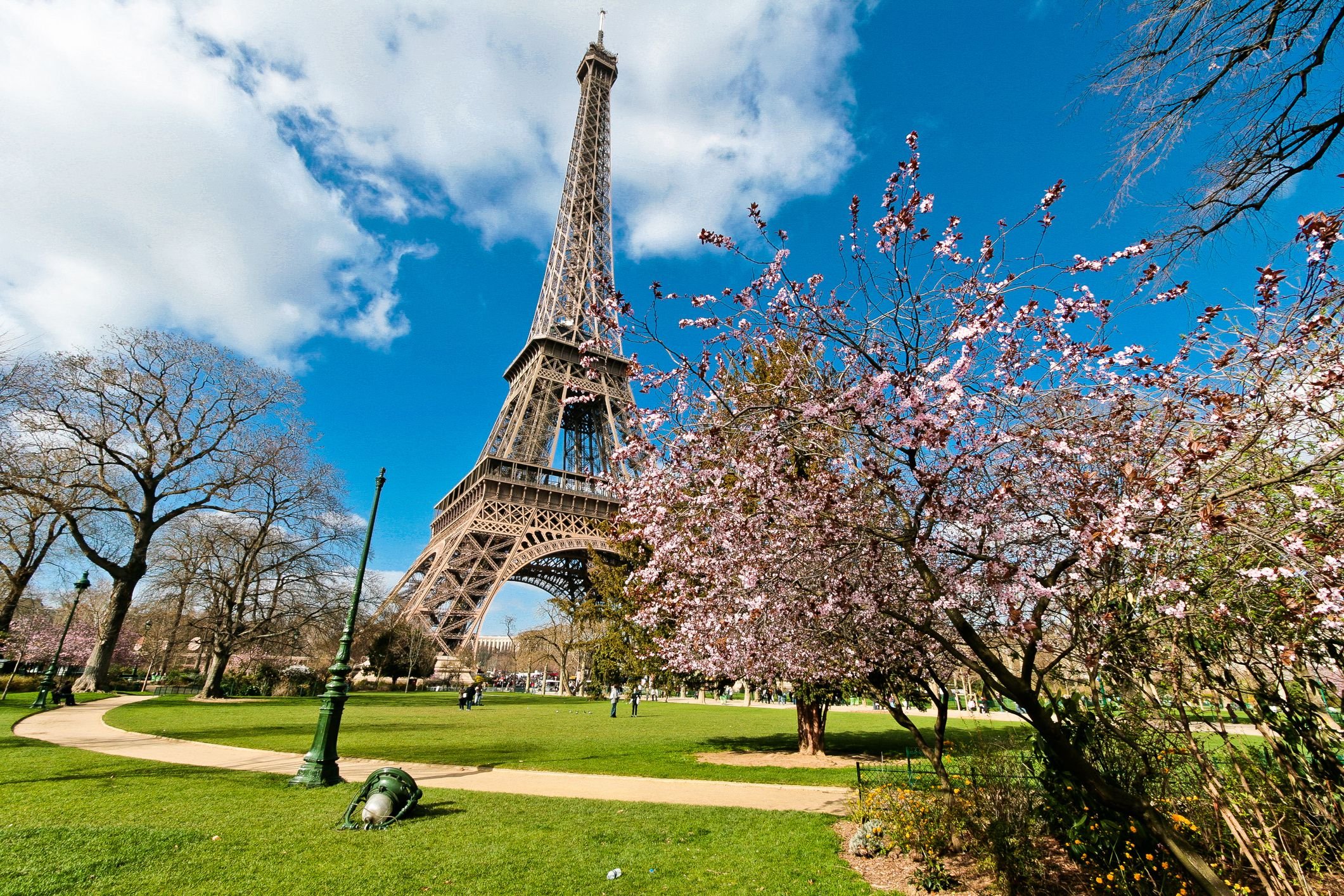 France pictures. Эйфелева башня в Париже. Эйфель башня Франция. Эйфелева башня в Париже фото. Париж и Эйфелева башня и Париж.