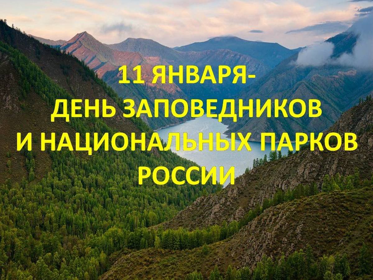 Природные зоны ЦЧР экономического района