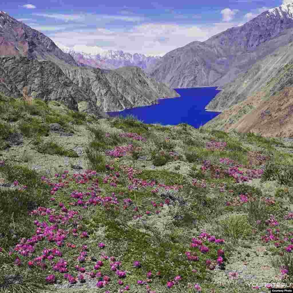 Ба хобам. Алаудинские озера Таджикистан. Озеро Куликалон Таджикистан. Таджикский национальный парк «горы Памира» (Таджикистан). Горы Памира в Таджикистане.