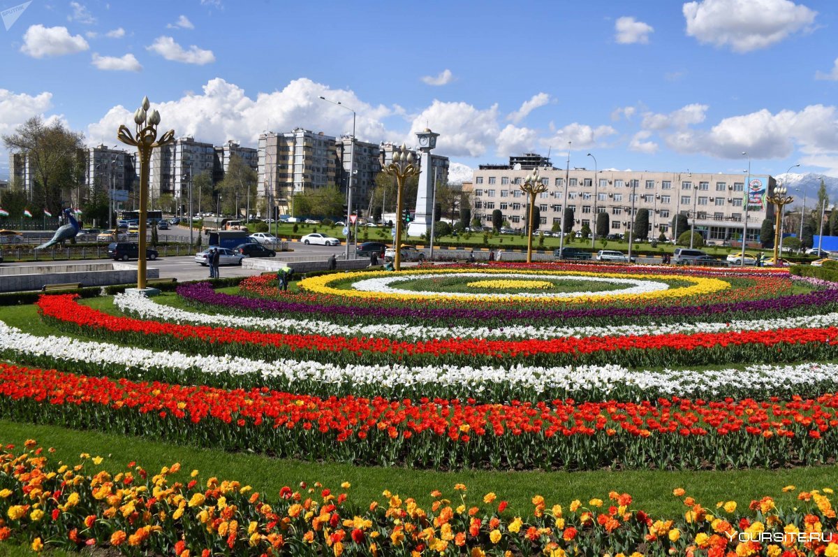 Душанбе столица Таджикистана