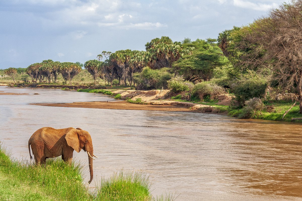 Крупные реки танзании