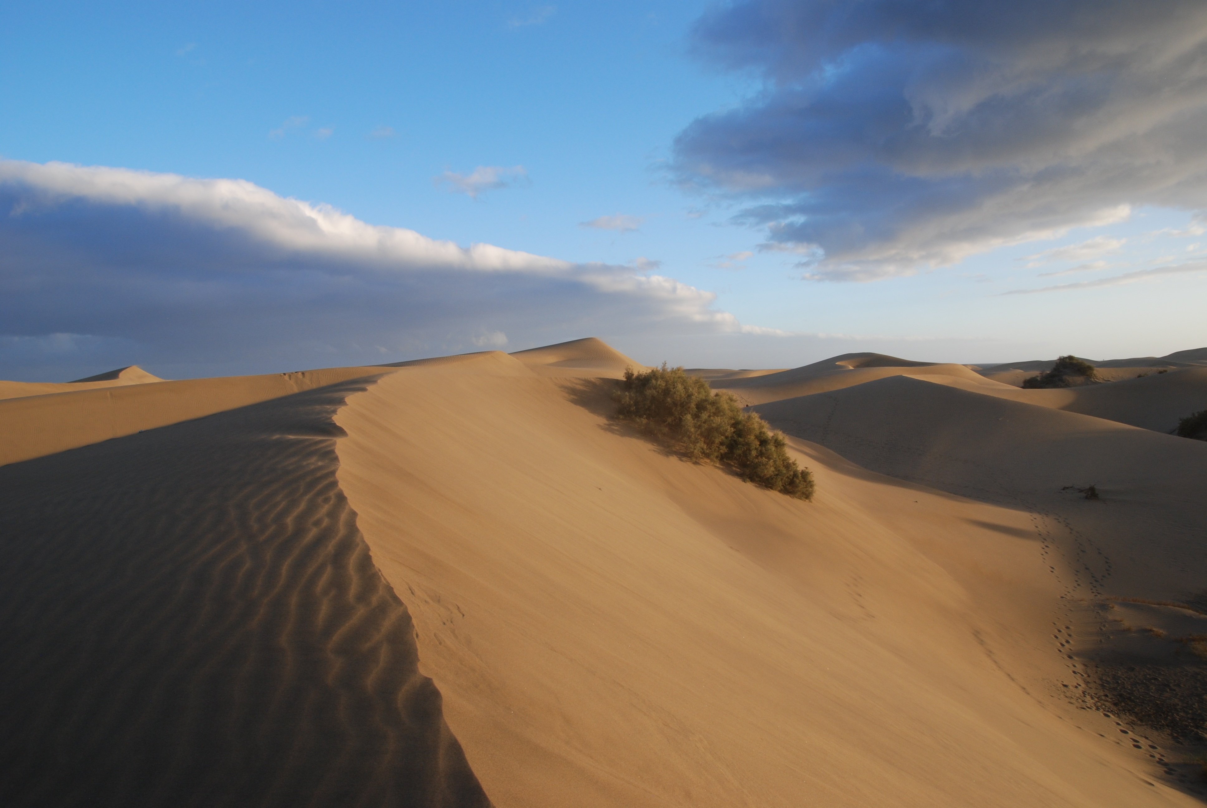 Внутренние воды полупустынь и пустынь. Пустыни и полупустыни Австралии. Песчаные Бугры дюны Барханы. Рельеф пустыни и полупустыни. Песчаные дюны Сенгилеевские горы.