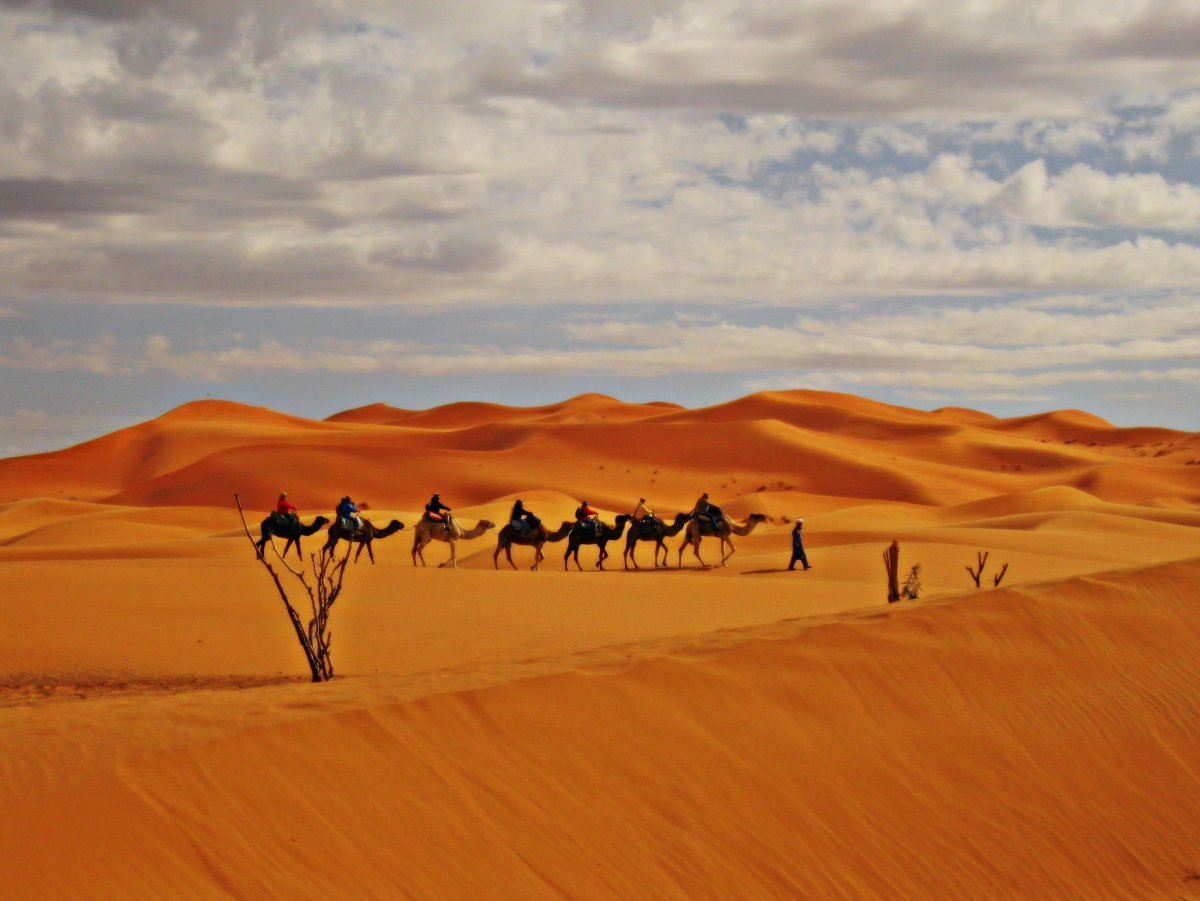Далекий караван. Пустыня Каракум в Туркменистане. Караван в пустыне Каракум. Каракум верблюд.