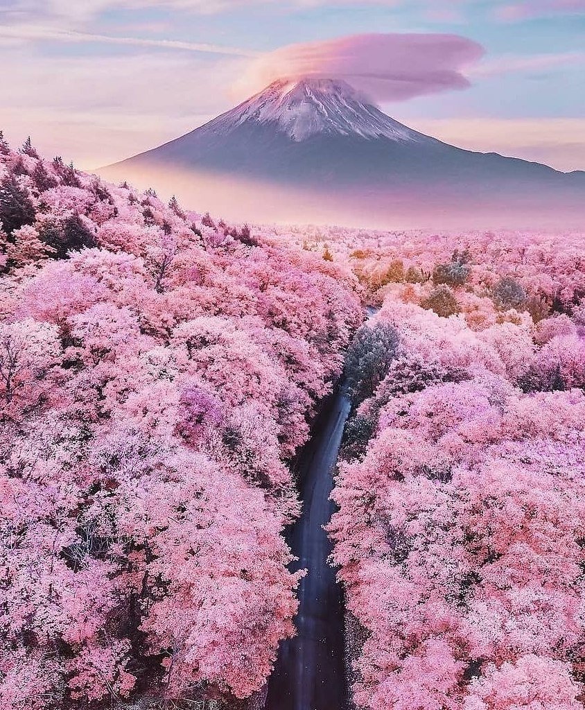 Необычные места японии