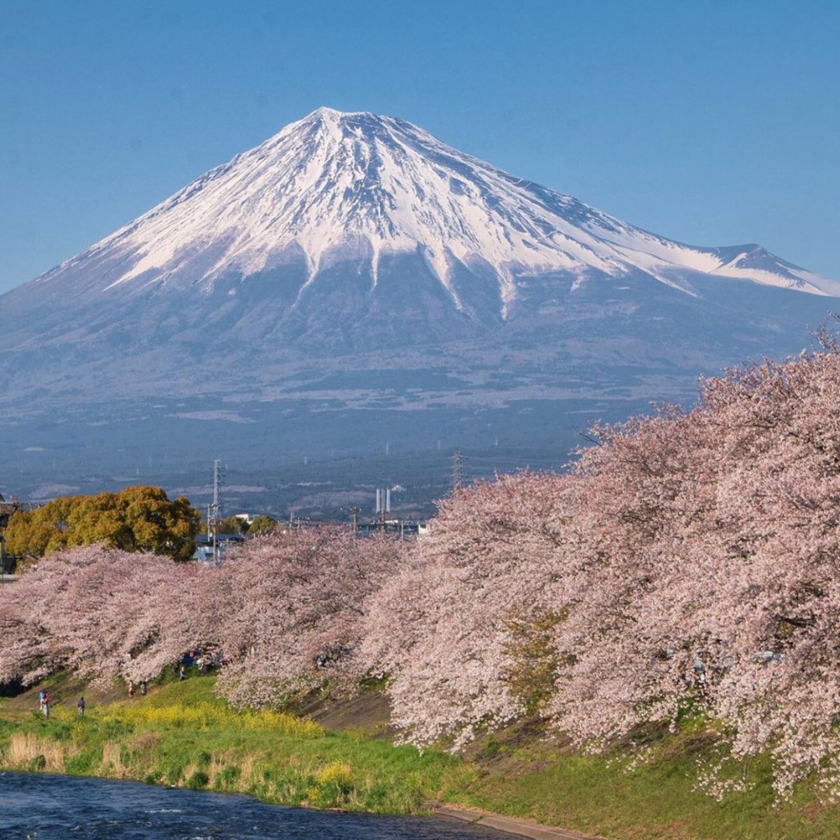 Самый крупный вулкан японии