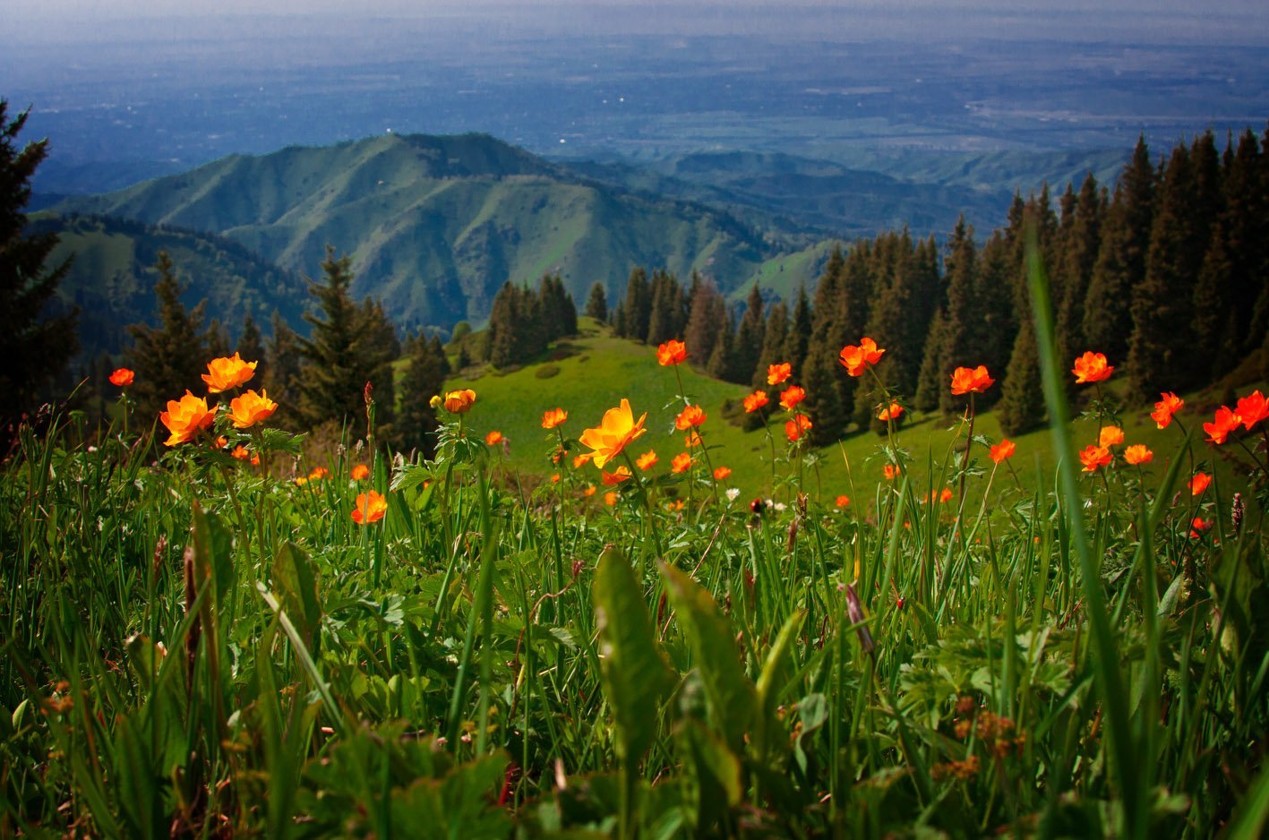 Лето в горах Казахстана