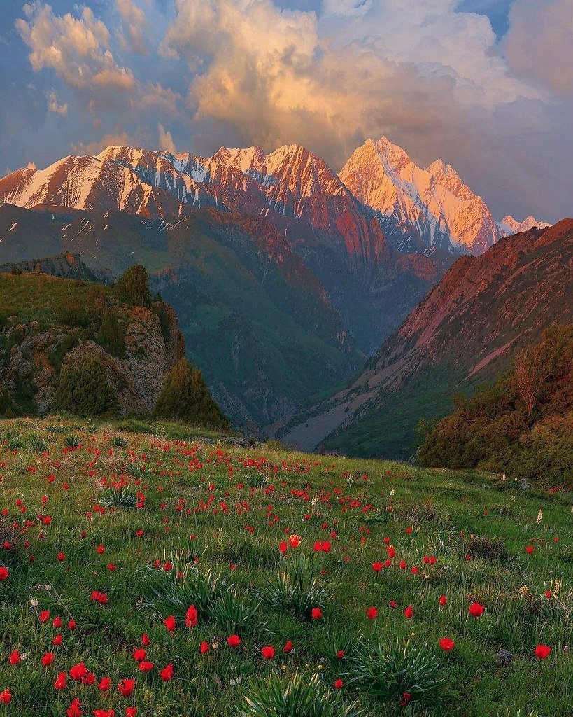 Природные заповедники казахстана