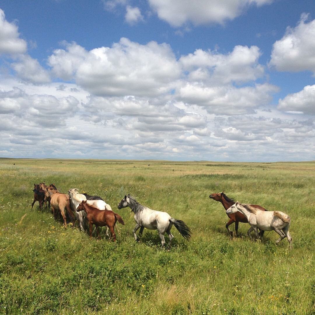 Photo Land Kazakhstan