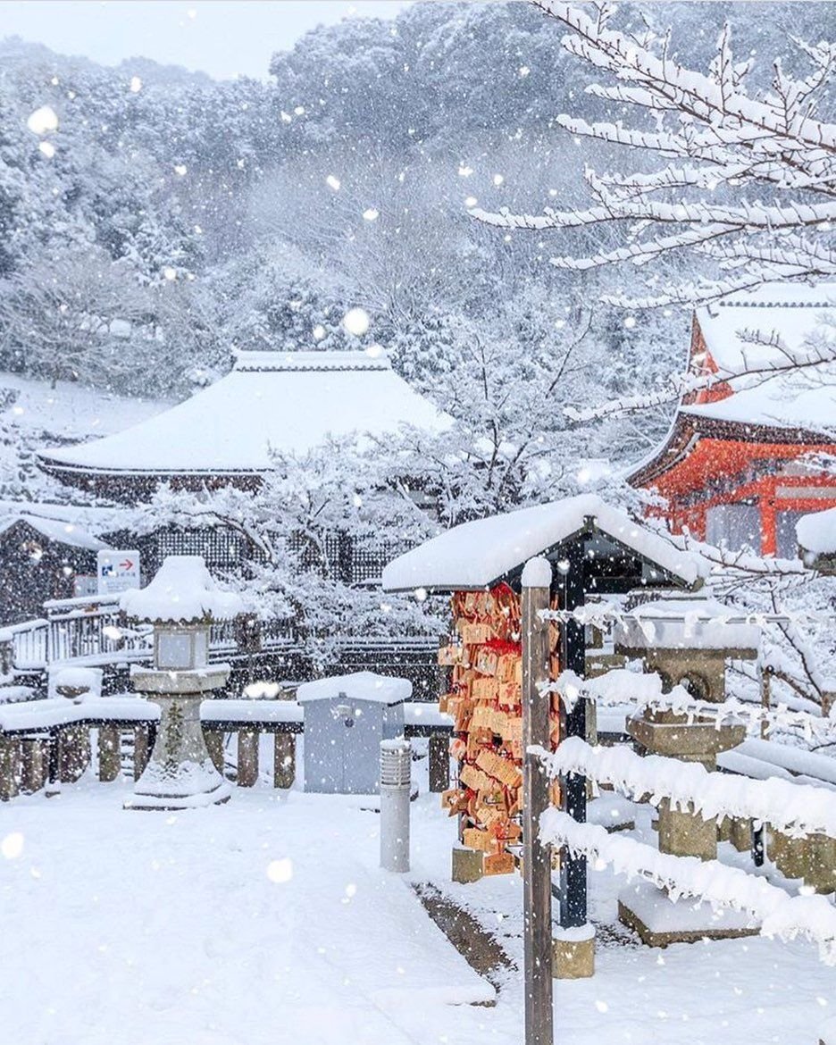 Снежная япония