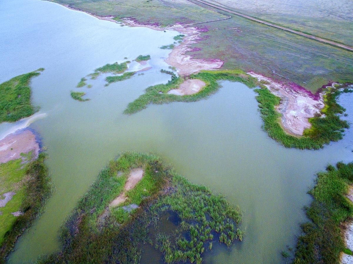 Водная система озер. Озеро Тенгиз Фламинго. Озеро Кургальджино Казахстан. Коргалжынский заповедник Казахстана. Казахстан Фламинго озеро Караколь.