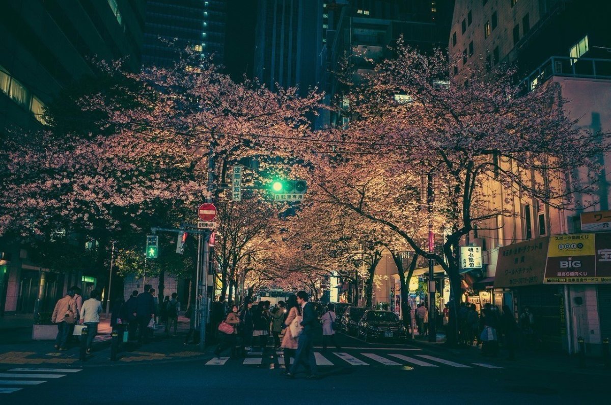 Япония город картинки