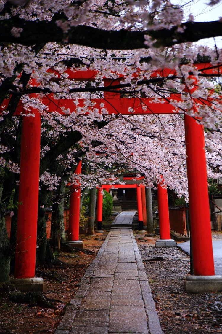 Япония киото храмы