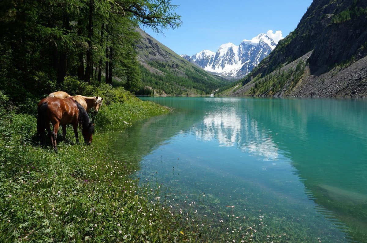 Алтай Фотографии Хорошего Качества