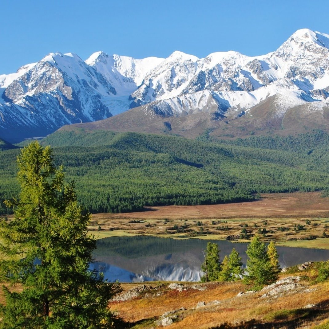 В какой части страны находится горы алтая. Гора Шенелю Алтай. Золотые горы Алтайского края. 2 Горы Алтай. Риддер гора Белуха.