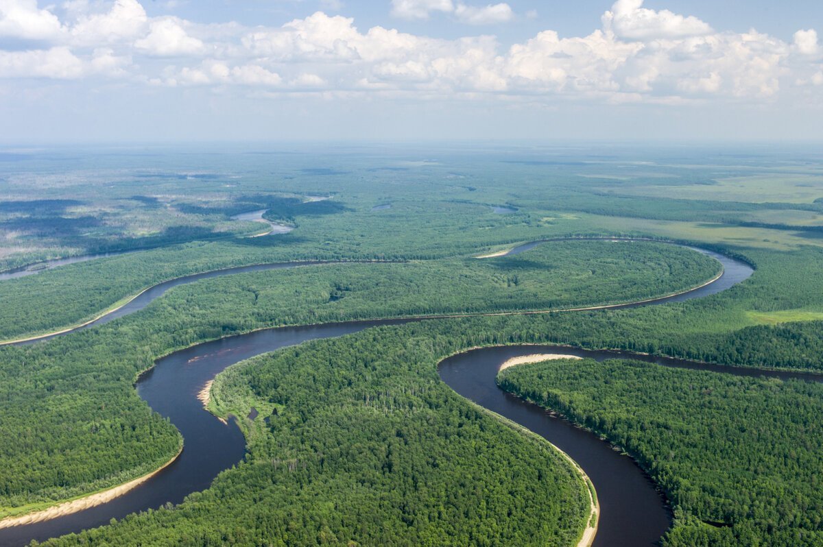 самые крупные реки