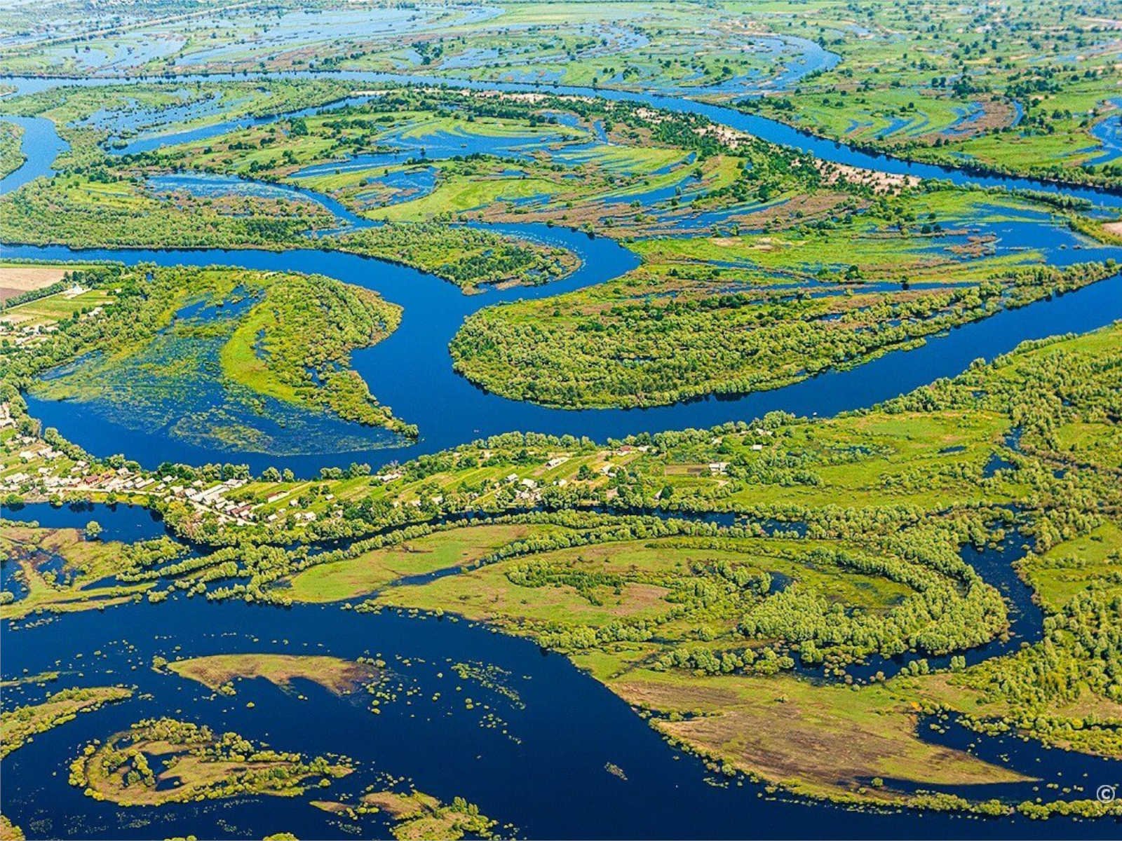 припятский национальный парк