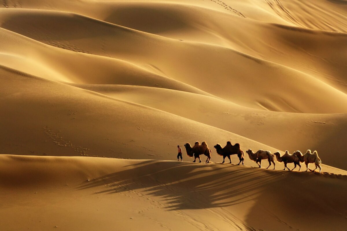 Пустыня в беларуси