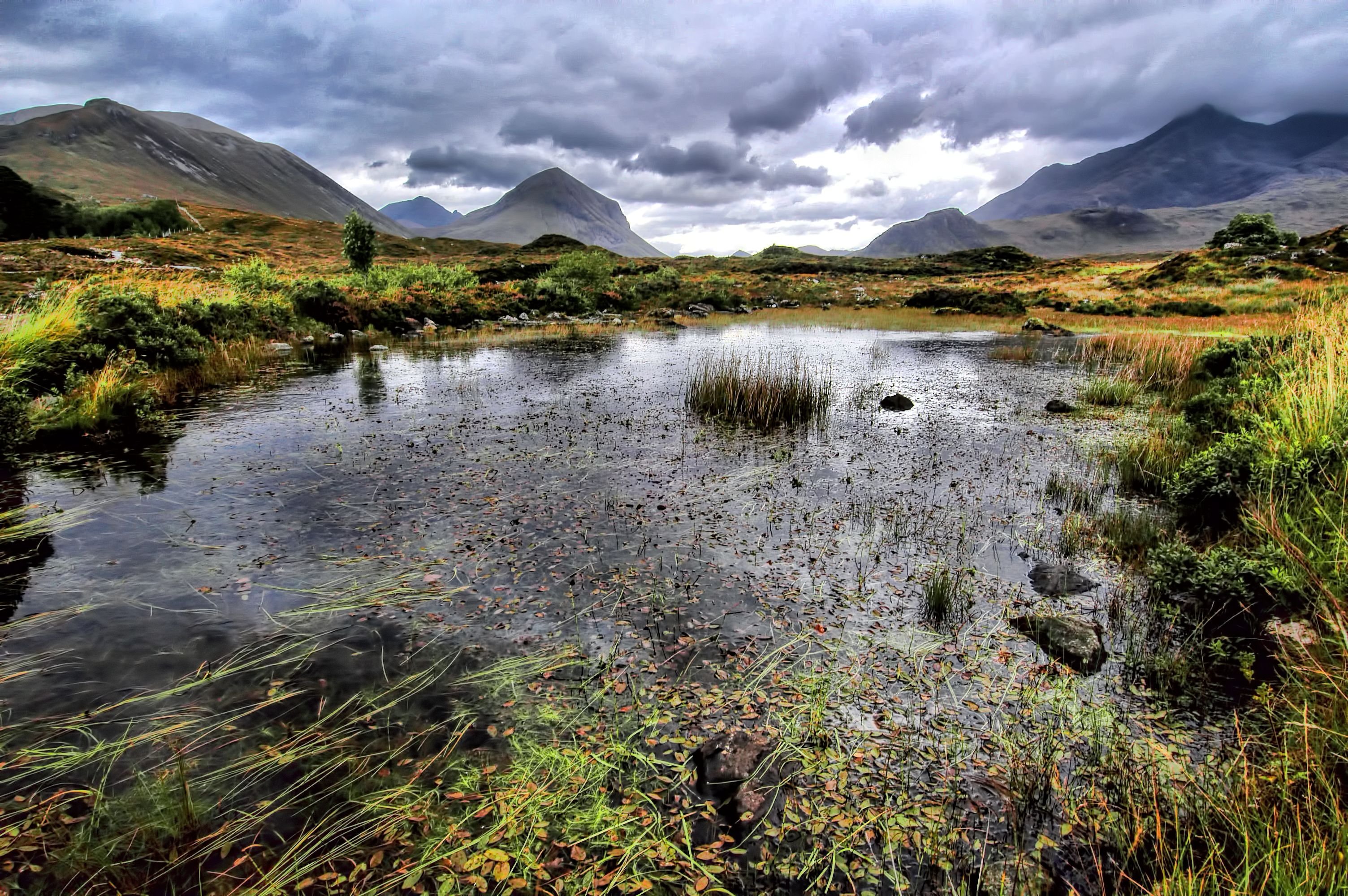 Scotland nature reserves. Озеро Этив Шотландия. Шотландия болота Маршес. Шотландия край гор озер Долин. Эдинбург болота.