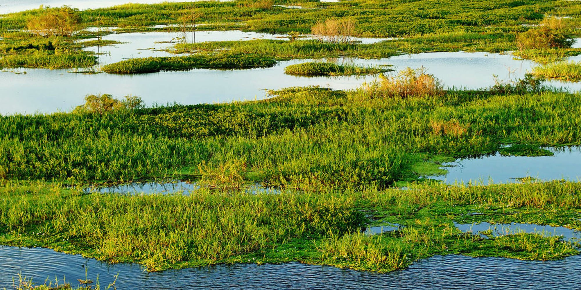 Inch marshes. Торфяные болота Англии. Заповедник Wetlands. Берег болота. Болота Шотландии.