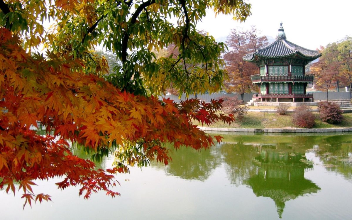 Осень в пекине